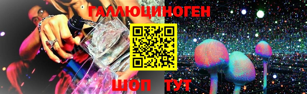купить наркотик  Псилоцибиновые грибы ЛСД  Каменск-Уральский  Вход с VPN  Псилоцибиновые грибы Psilocybe 